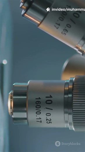 Working Principle of electron microscope. An animation