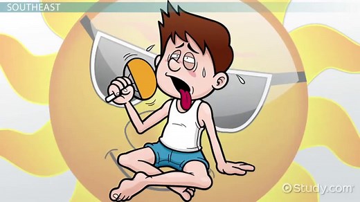 The 5 Regions of the United States: Lesson for Kids