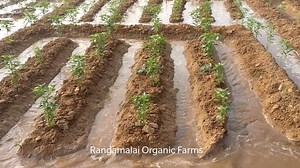 2.3K views · 105 reactions | Education Video Series: How to irrigate...