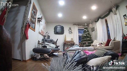 Deflating an inflatable mattress: the struggle is real. From looking like a flailing penguin to wrestling with th eair for ages, and let's not even talk about trying to cram it back into its tiny packaging..... #InflateDeflateRepeat #SquishyStruggles #PumpItOut #BlowUpBedProblems #DeflateDrama #StruggleIsReal #AirMattressWoes