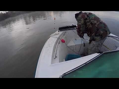 How to set a GillNet