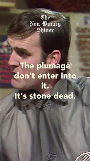 Dead Parrot | Pet Shop Sketch | Monty Pythons Flying Circus #parrotsketch #deadparrot #petshopsketch