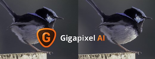 Topaz Labs Gigapixel AI Review: Is Gigapixel AI Worth It?