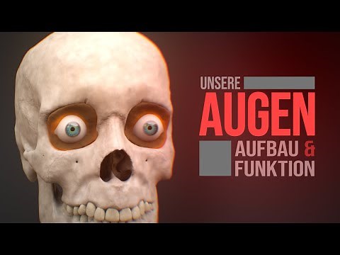 Das menschliche Auge - Aufbau und Funktion (Animation)