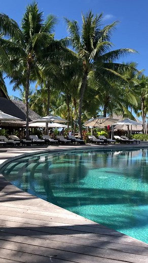 Time for a swim? Hanging out pool side at the Four Seasons, just enoying the view. | Bora Bora