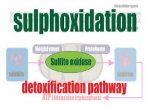 Salicylates and the sulphite connection!