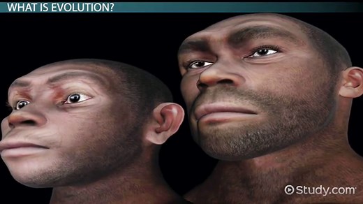 Evolution Definition, Types & Variations