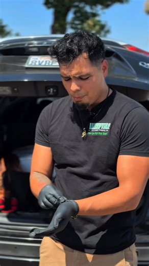 LLLReptile and Supply Co, Inc on Instagram: "Nothing to see here…….. . . . . #reptiles #lizards #snakes"