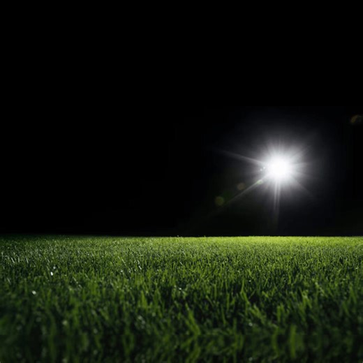 443K views · 11 reactions | Catch big savings when GEICO's your QB. Get a quote on auto insurance today. | GEICO | Facebook