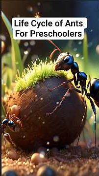 Amazing Ant Colony Life | Facts For Kids | Educational Videos