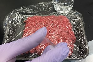 Smart plastic = goodbye food poisioning