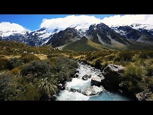 Top 5 New Zealand highlights you absolutely mustn't miss!