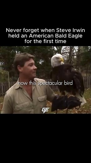 Even The Eagle Knew He Was Safe ❤️