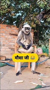 मौसा जी #funny #comedy #thetharpuns #shilpisaroja