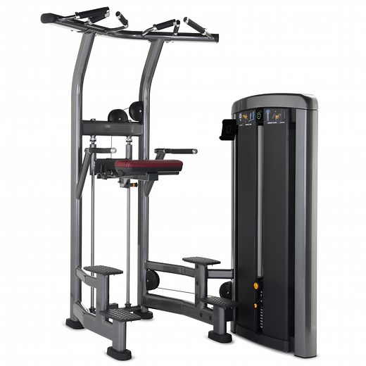 Insignia Series Assist Dip Chin (SS-ADC) - Life Fitness