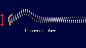Demonstrating longitudinal and transverse waves