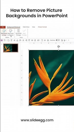 How to Remove Picture Backgrounds in PowerPoint #slideegg