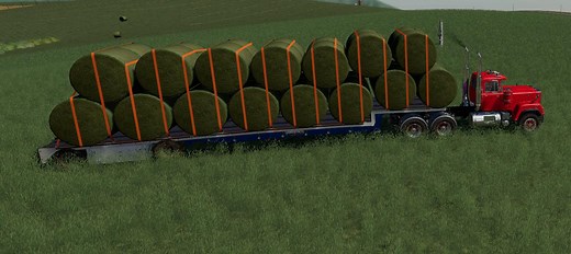 Step Deck Trailer v 1.0 - FS19 mod - FS19.net
