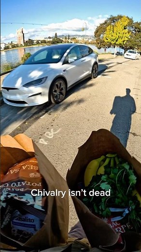 Model X opens the door for you