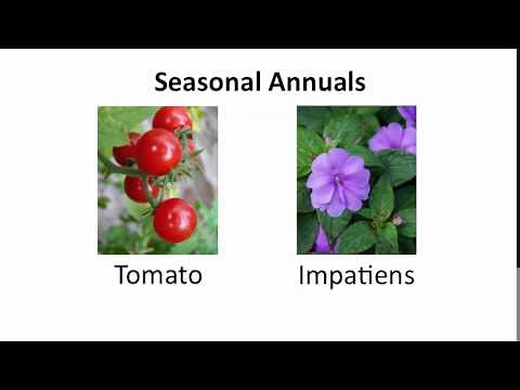 Botany: Plant Classification and Names