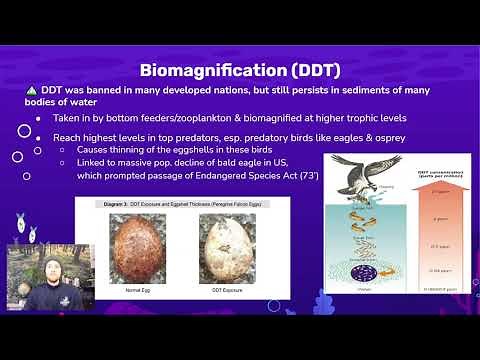 AP Environmental Science 8.8 - Bioaccumulation and Biomagnification