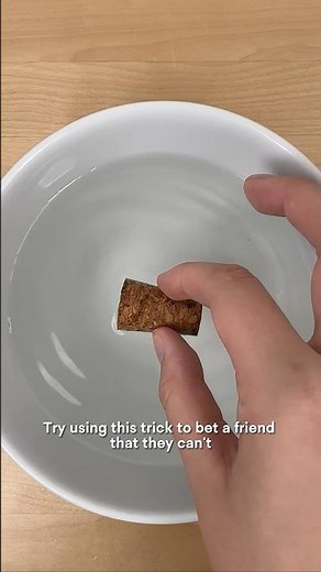 Easy Cork Meniscus Experiment