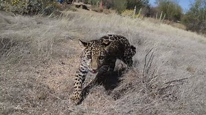 162K views · 1.1K reactions | USA TODAY Network journalists explored...