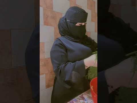 tango for beginners lesson // tango line dance for beginners