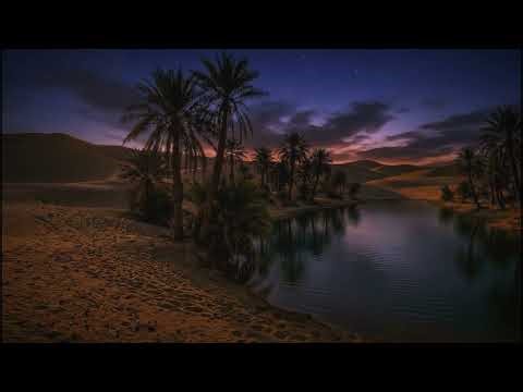 Gusting Wind & Night Insect Sounds 🌙 Outdoor Nature Ambience for Study, Focus, & Work | 1 Hour