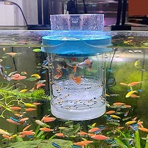 Fish Breeding Box, Acrylic Fish Isolation Box Hanging Aquarium Hatchery Tank for Freshwater Seawater Fish Tank Aquarium