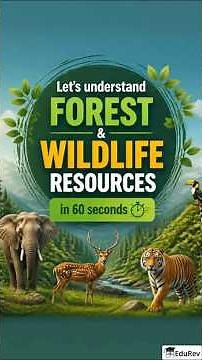 Forest and Wildlife Resources || Class 10 || NCERT Social Science