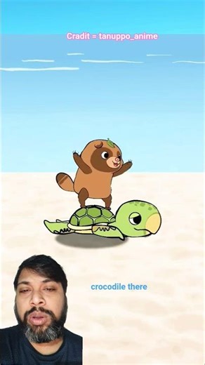 Is the turtle's shell replaceable?#animation#cartoon#turtleshell