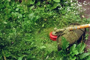 The Best String Trimmer Heads of 2024