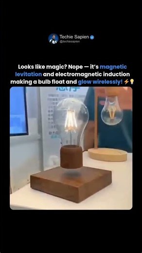 Floating Light Bulb Glows Without Wires 🤯 Magnetic Levitation & Induction! ⚡💡