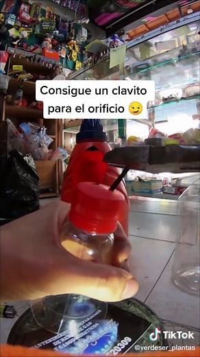 Cómo hacer regaderas recicladas para tus plantas