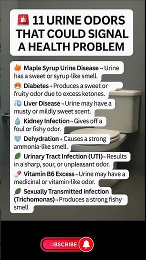 11 Urine Odors That Could Signal a Serious Health Issue | Prime Wellness