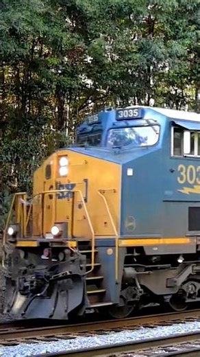 CSX intermodal train