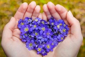 Professional Cuddling