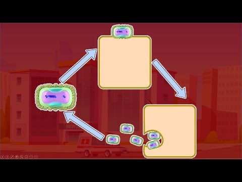 Monkeypox Replicative cycle - Tecovirimat Mechanism of action