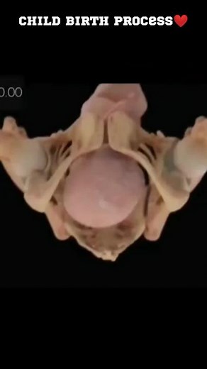 Child Birth Process: A Guide to Normal Delivery