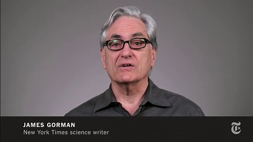 ScienceTake | How the Octopus Moves