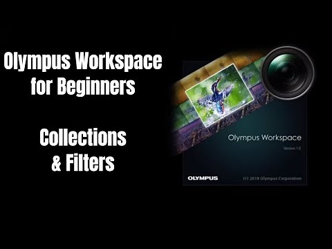 Olympus Workspace for Beginners: Collections and Filters Part 1 ep.147